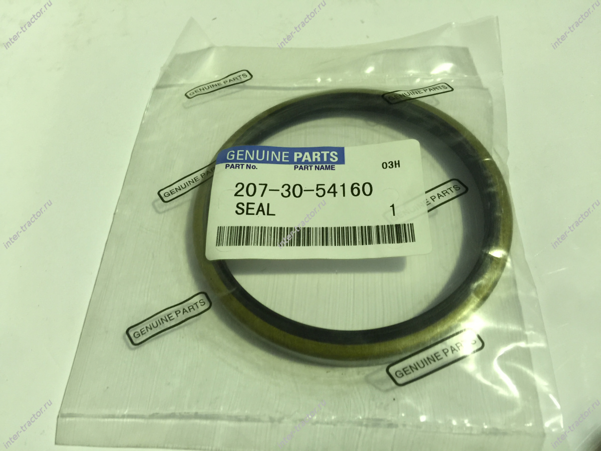 207-30-54160:Уплотнение